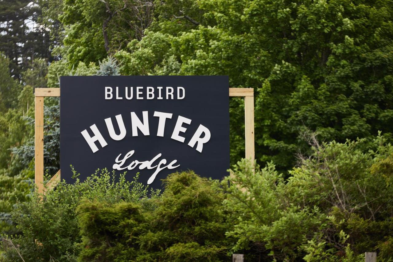 Lodge, A Bluebird By Lark 4* Hunter